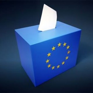 Volby do Evropského parlamentu
