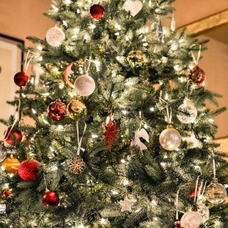 Vánoční strom splněných přání