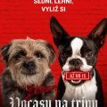 Vocasy na tripu