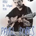 Koncert Pavla Dobeše