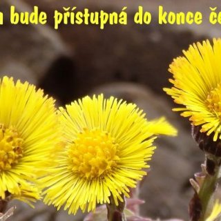 Krása kolem nás - výstava fotografií Míry Čarka
