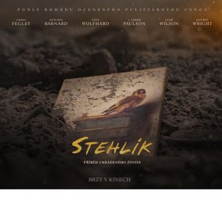 Stehlík