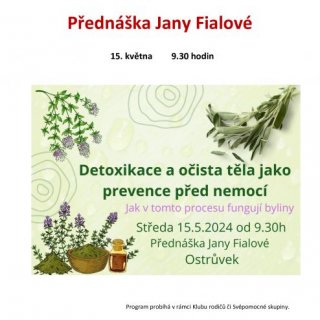 Detoxikace a očista těla jako prevence před nemocí