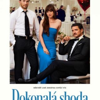Dokonalá shoda