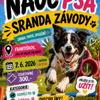 Nauč psa: Sranda závody