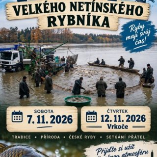 Výlov Velkého netínského rybníka