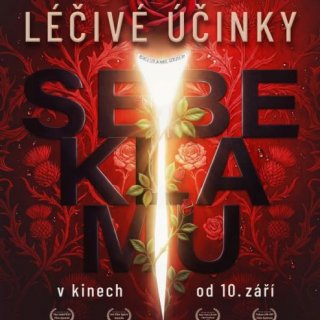 Léčivé účinky sebeklamu