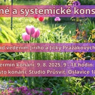 Rodinné a systemické konstelace