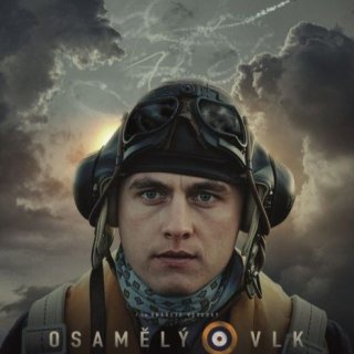 Osamělý vlk