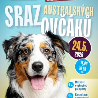 Sraz australských ovčáků