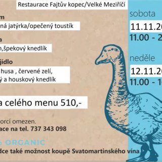 Svatomartinská husa na Fajtově kopci