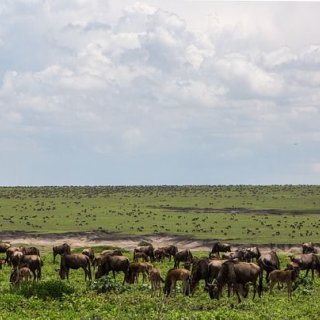 Beseda o Africe - Tanzanii