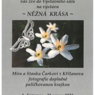 Něžná krása