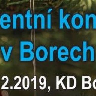 Adventní koncert v Borech
