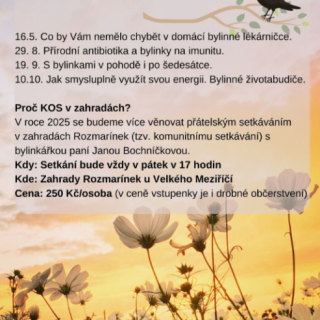 S bylinkami v pohodě i po šedesátce