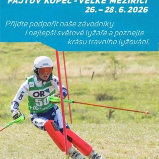 Světový pohár v travním lyžování