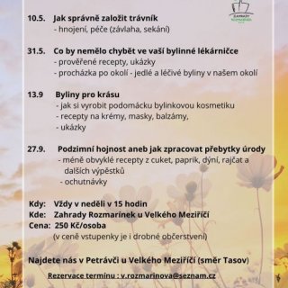 Co by nemělo chybět ve vaší bylinné lékárničce