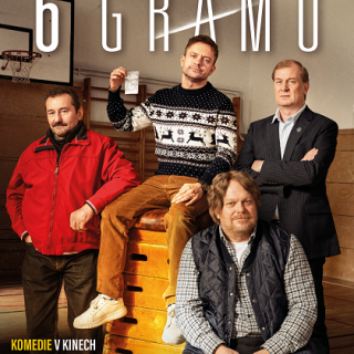 6 gramů