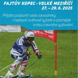 Světový pohár v travním lyžování