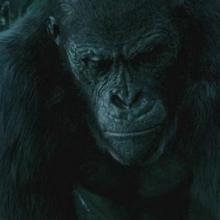 KINO: Legenda o Tarzanovi