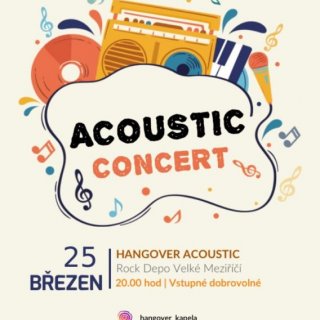 Acoustic concert