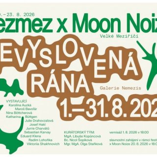Nevyslovená rána
