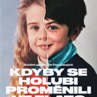 Kdyby se holubi proměnili ve zlato