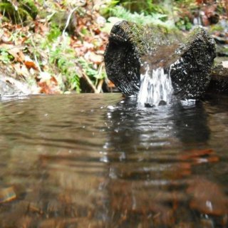 Zázračná studánka. Fikce nebo skutečnost?