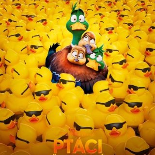 Ptáci stěhováci