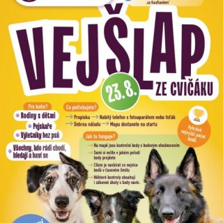 Vejšlap ze cvičáku
