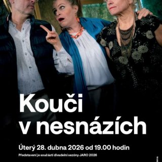 KOUČI V NESNÁZÍCH