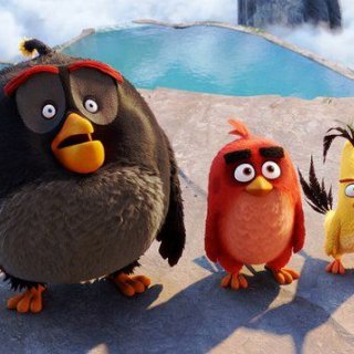 KINO: Angry Birds ve filmu