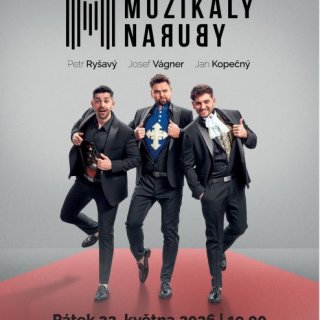 MUZIKÁLY NARUBY