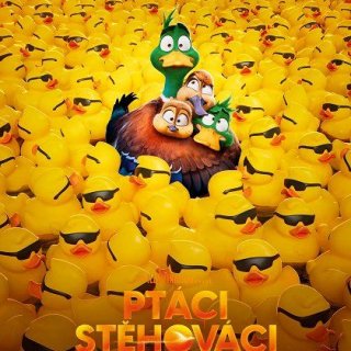 Ptáci stěhováci