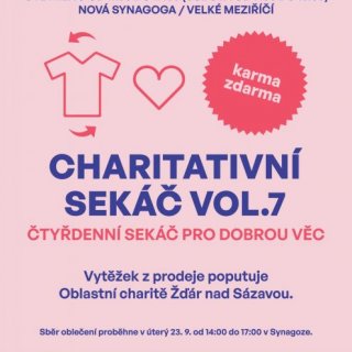 Charitativní sekáč