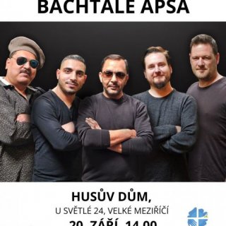 Bachtale Apsa