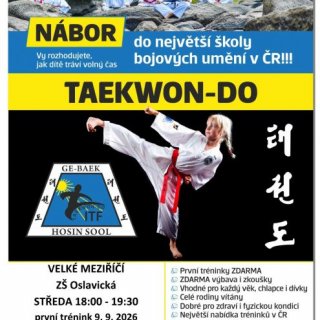 Taekwon-Do