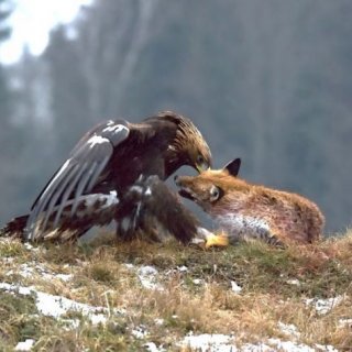 Prchavá setkání - výstava fotografií