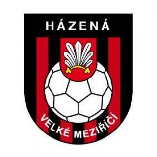 Házená: Liga Vysočiny - ml. žákyně, II. liga muži