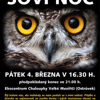 Soví noc