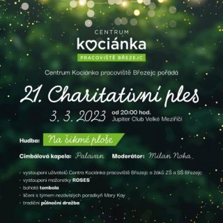 21. Charitativní ples