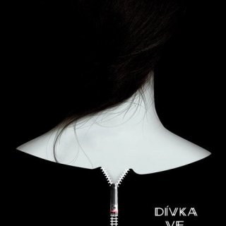 Dívka ve vlaku