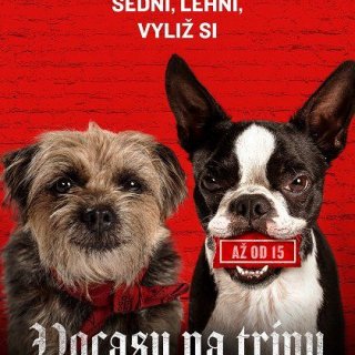 Vocasy na tripu