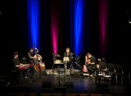 KONCERT: Petr Hapka, Recitál - 17.10.2025